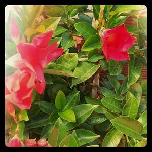 Meet your Posher, A random person